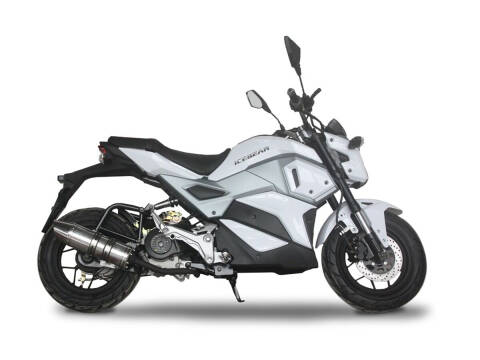 2023 ICE BEAR MINI MAX 50cc for sale at TEXAS MOTORS POWERSPORT in Orlando FL
