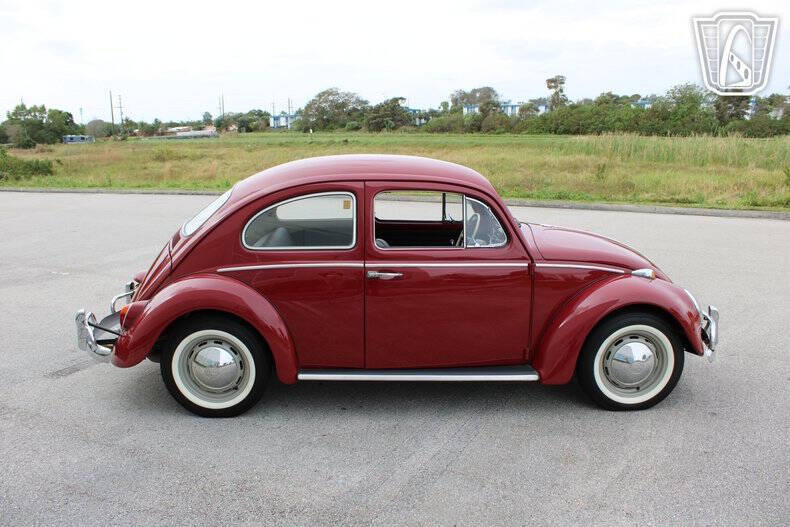 1969 Volkswagen Beetle