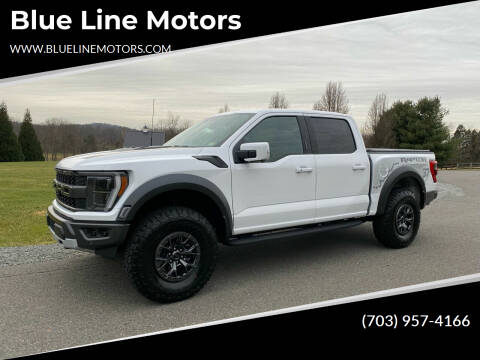 2021 Ford F-150 for sale at Blue Line Motors in Winchester VA