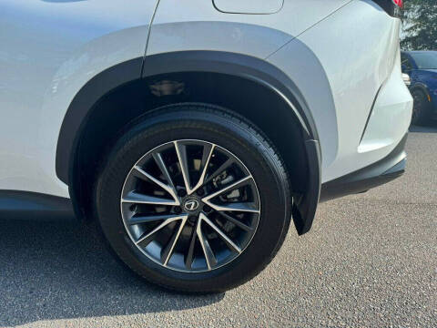 2025 Lexus NX 250