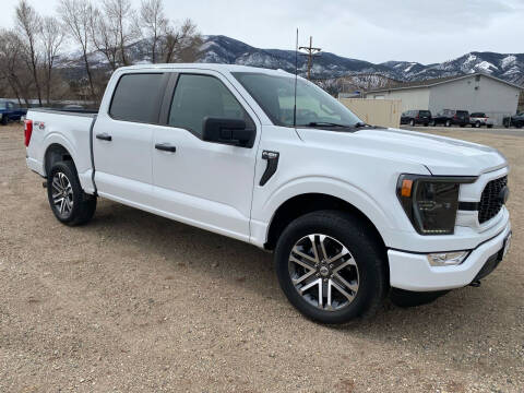 2022 Ford F-150 for sale at Salida Auto Sales in Salida CO