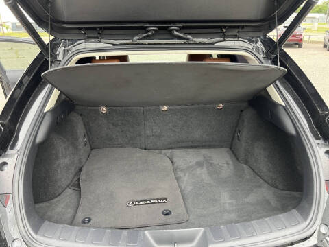 2019 Lexus UX 200