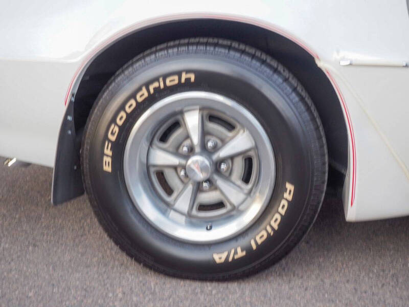 1981 Pontiac Firebird Trans Am