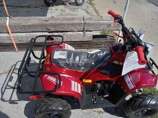 2025 RPS 110cc Dinosaur