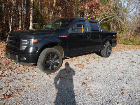 2013 Ford F-150 for sale at Williams Auto & Truck Sales in Cherryville NC