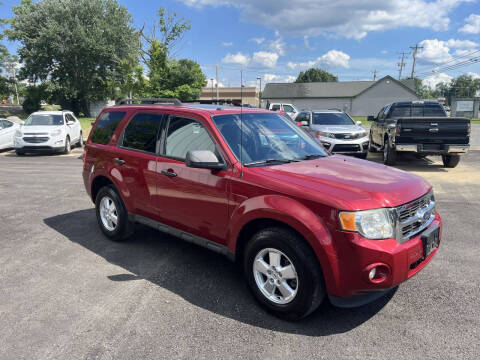 2010 Ford Escape XLT