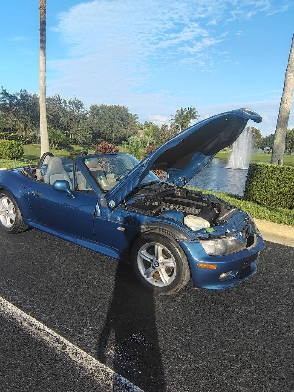 2001 BMW Z3 for sale at Amatrudi Motor Sports in Fort Pierce, FL