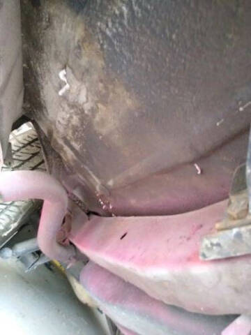 1966 Chevrolet Chevelle