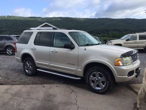 2005 Ford Explorer for sale at Troy's Auto Sales in Dornsife PA