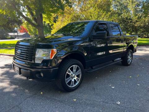 2014 Ford F-150 for sale at Boise Motorz in Boise ID