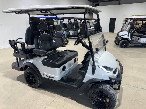 2025 Bintelli Active 4PR