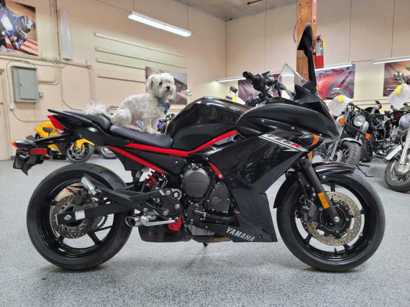 Yamaha Fz6r For Sale Carsforsale Com