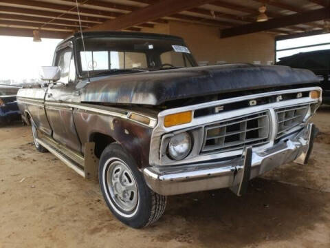 1977 Ford F-100 for sale at OVE Car Trader Corp in Tampa FL