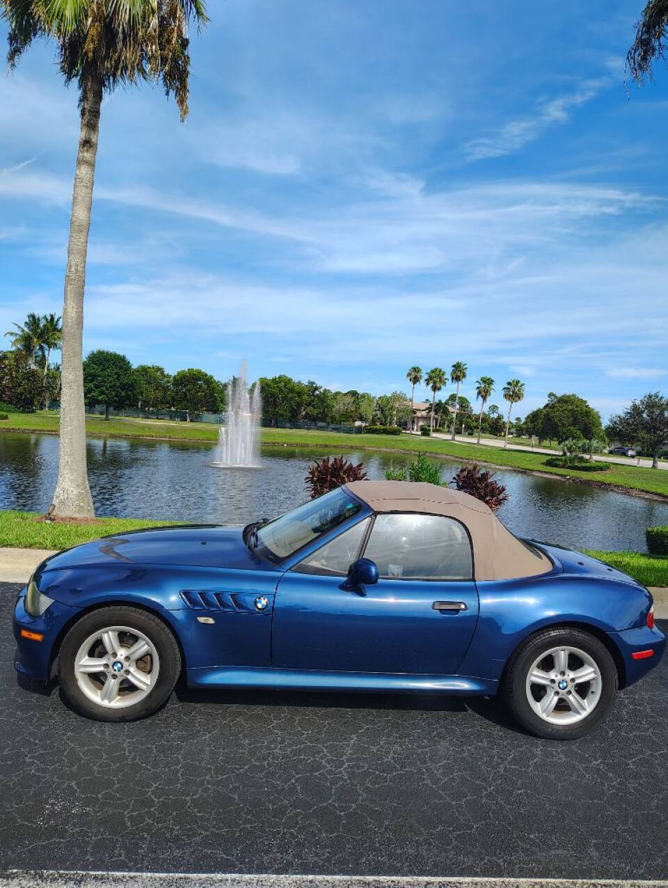 2001 BMW Z3 for sale at Amatrudi Motor Sports in Fort Pierce, FL