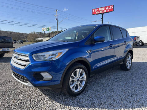 2019 Ford Escape SE