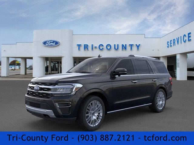 2024 Ford Expedition for sale at TRI-COUNTY FORD in Mabank TX