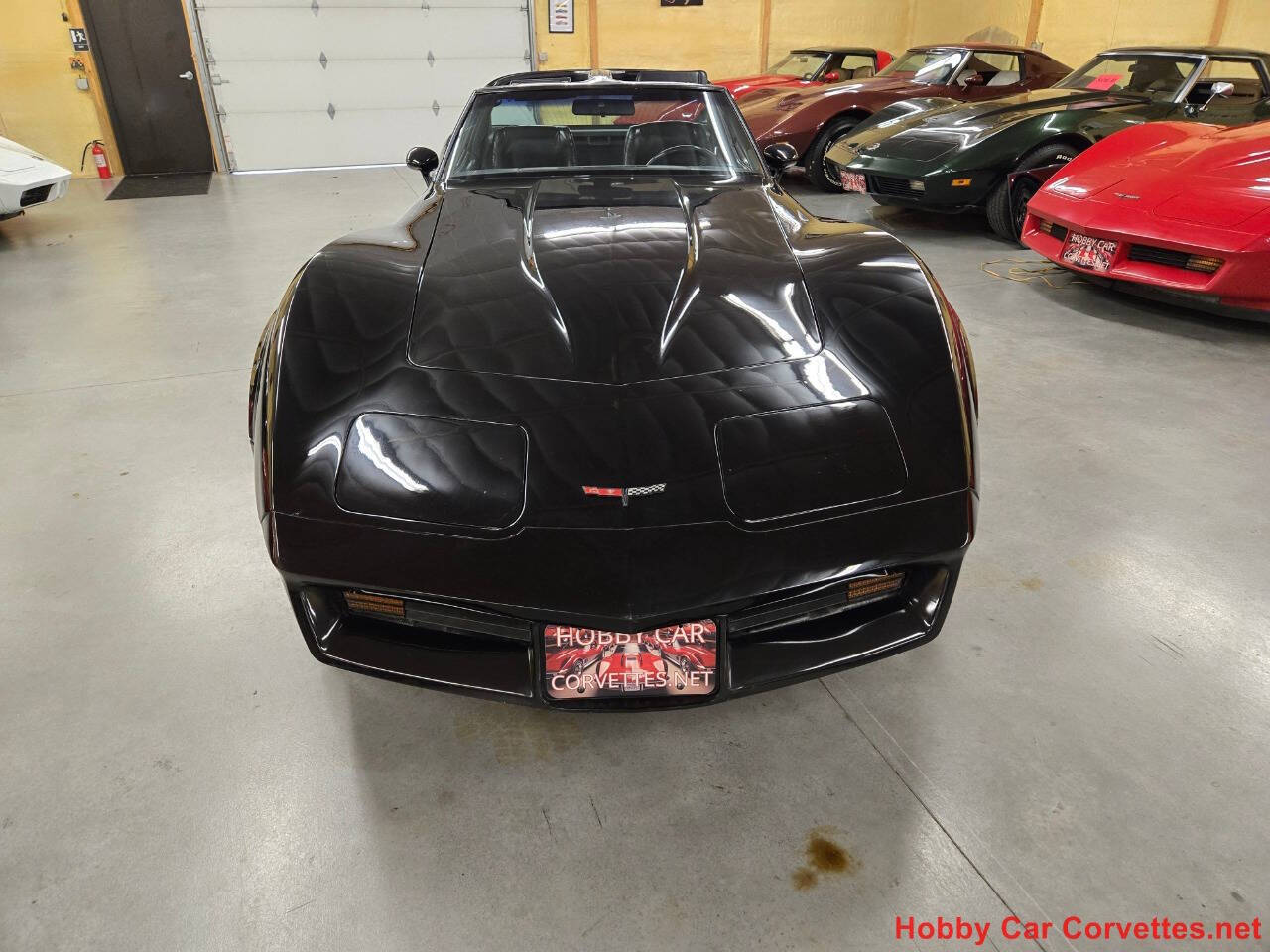 1981 Chevrolet Corvette 16