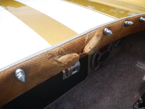 1966 Shelby Cobra