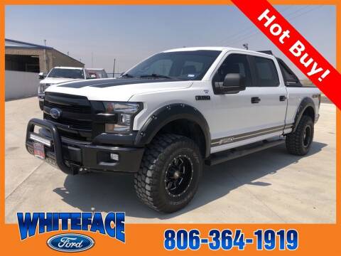 2016 Ford F-150 for sale at Whiteface Ford in Hereford TX