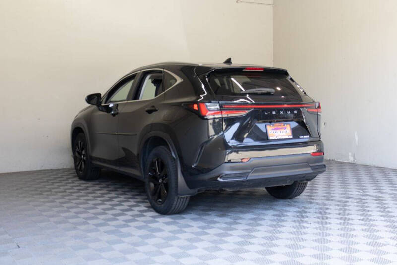 2023 Lexus NX 250