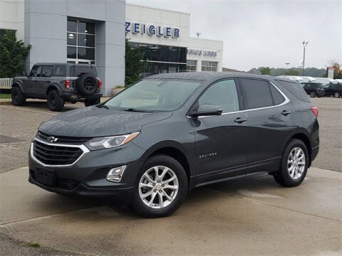 2019 Chevrolet Equinox for sale at Zeigler Ford of Plainwell - Jeff Bishop in Plainwell MI