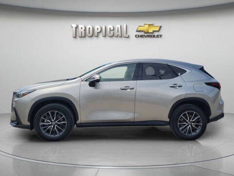 2023 Lexus NX 350 Premium