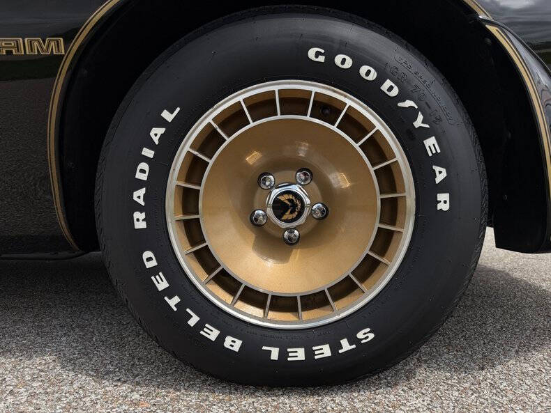 1981 Pontiac Firebird Trans Am