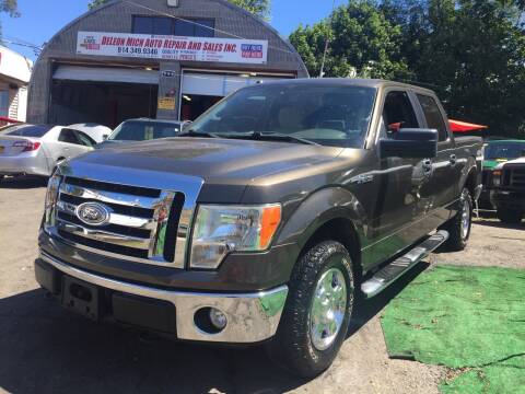 2009 Ford F-150 for sale at Drive Deleon in Yonkers NY
