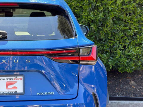 2023 Lexus NX 250 Premium