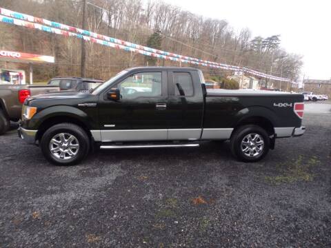 2014 Ford F-150 for sale at RJ McGlynn Auto Exchange in West Nanticoke PA