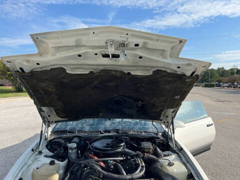 1984 Pontiac Firebird Trans Am