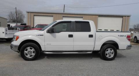 2012 Ford F-150 for sale at KNOBEL AUTO SALES, LLC in Corning AR