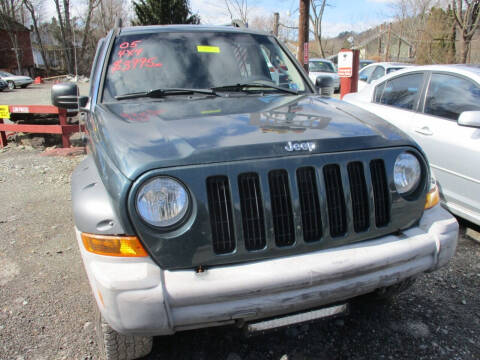 2005 Jeep Liberty for sale at FERNWOOD AUTO SALES in Nicholson PA