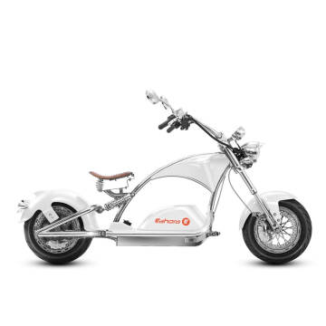 2023 Eahora E MOTORCYCLES M1PS