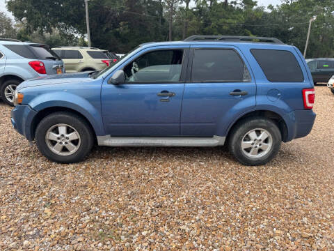 2010 Ford Escape XLT