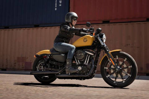 2019 Harley-Davidson Iron 883