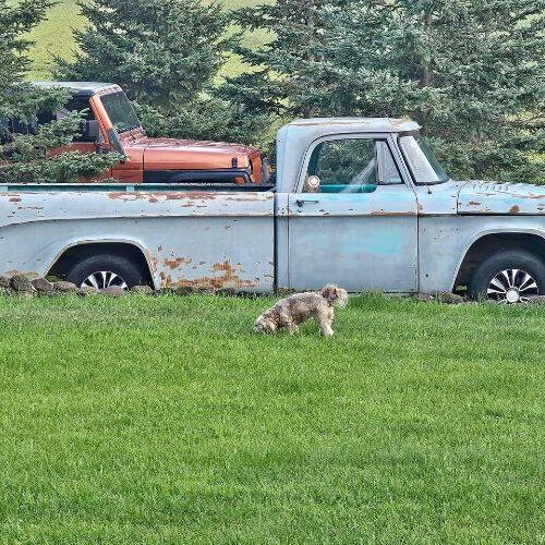 1968 Dodge D150 Pickup