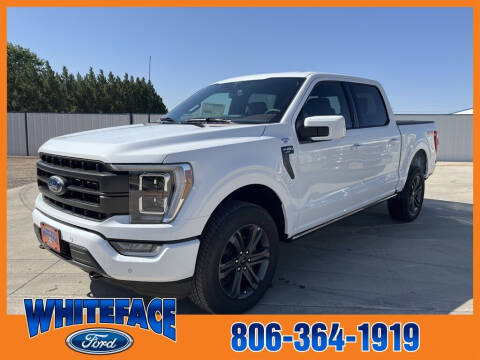 2023 Ford F-150 for sale at Whiteface Ford in Hereford TX