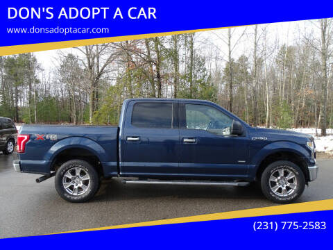 2015 Ford F-150 for sale at DON'S ADOPT A CAR in Cadillac MI