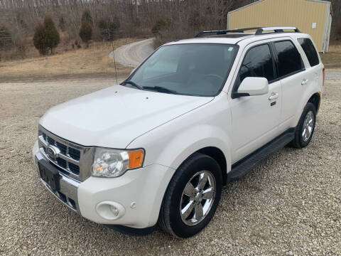 2010 Ford Escape for sale at Court House Cars, LLC in Chillicothe OH