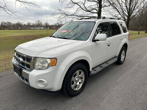 2011 Ford Escape for sale at Urban Motors llc. in Columbus OH