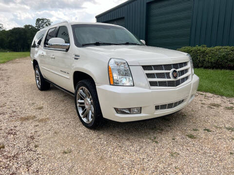 2013 Cadillac Escalade ESV for sale at Plantation Motorcars in Thomasville GA