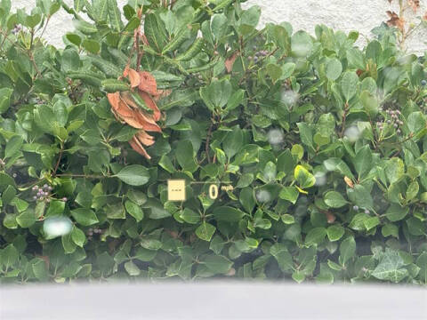 2023 BMW 8 Series M850i xDrive Gran Coupe