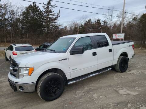 2014 Ford F-150 for sale at B & B GARAGE LLC in Catskill NY