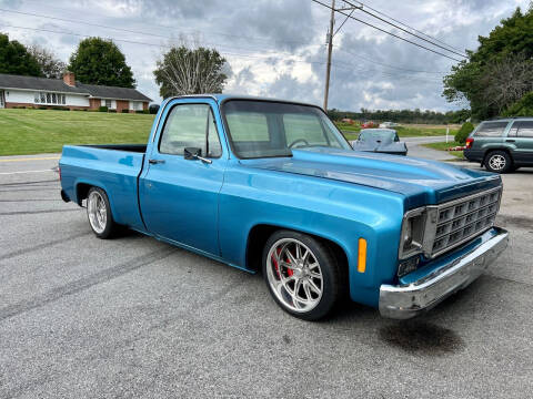 1979 Chevrolet C/K 10 Series for sale at All Collector Autos LLC in Bedford PA
