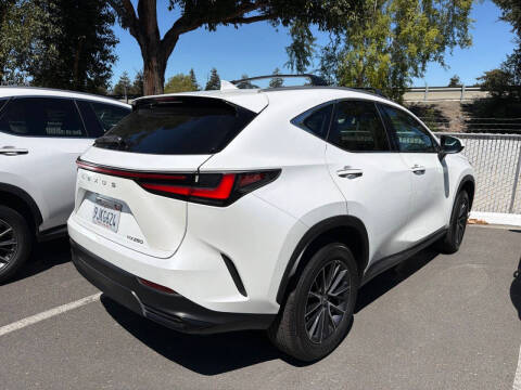 2024 Lexus NX 250 Premium