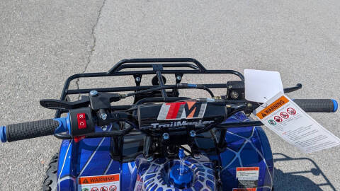 2026 TrailMaster B125