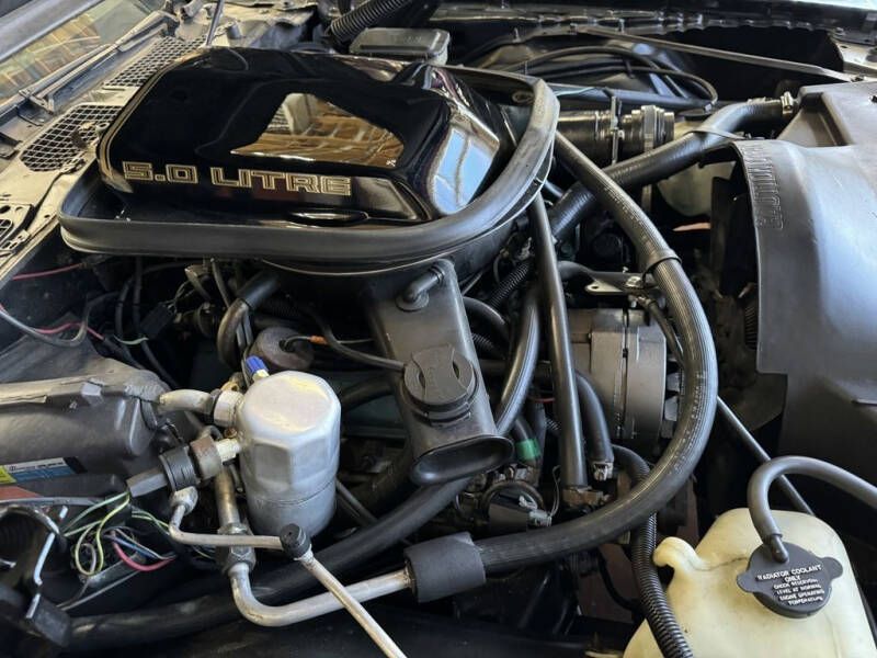 1981 Pontiac Firebird Trans Am