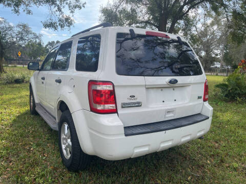 2010 Ford Escape XLT