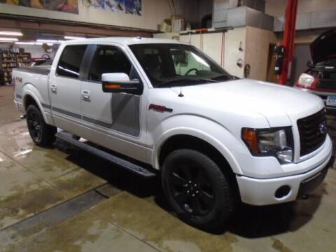 2012 Ford F-150 for sale at SWENSON MOTORS in Gaylord MN
